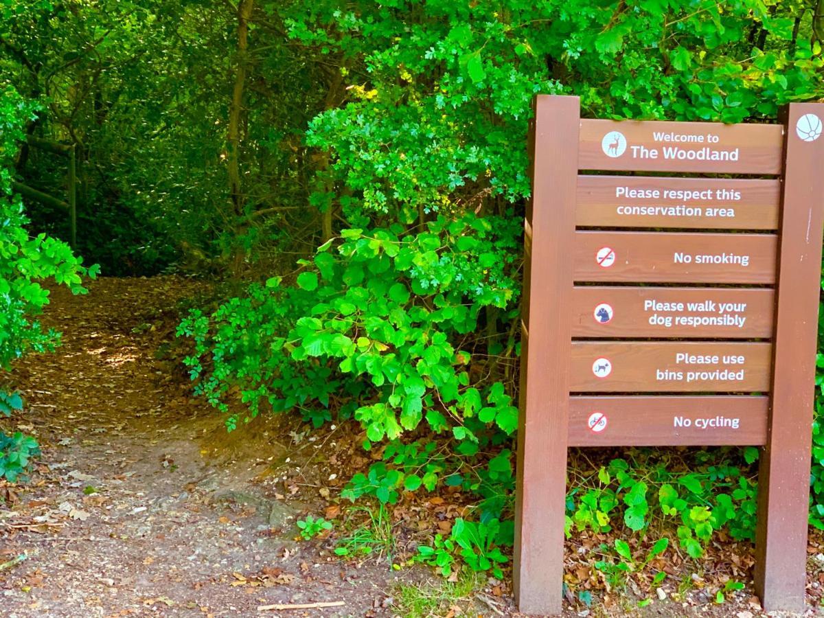 Forest Lodge Sway Екстер'єр фото