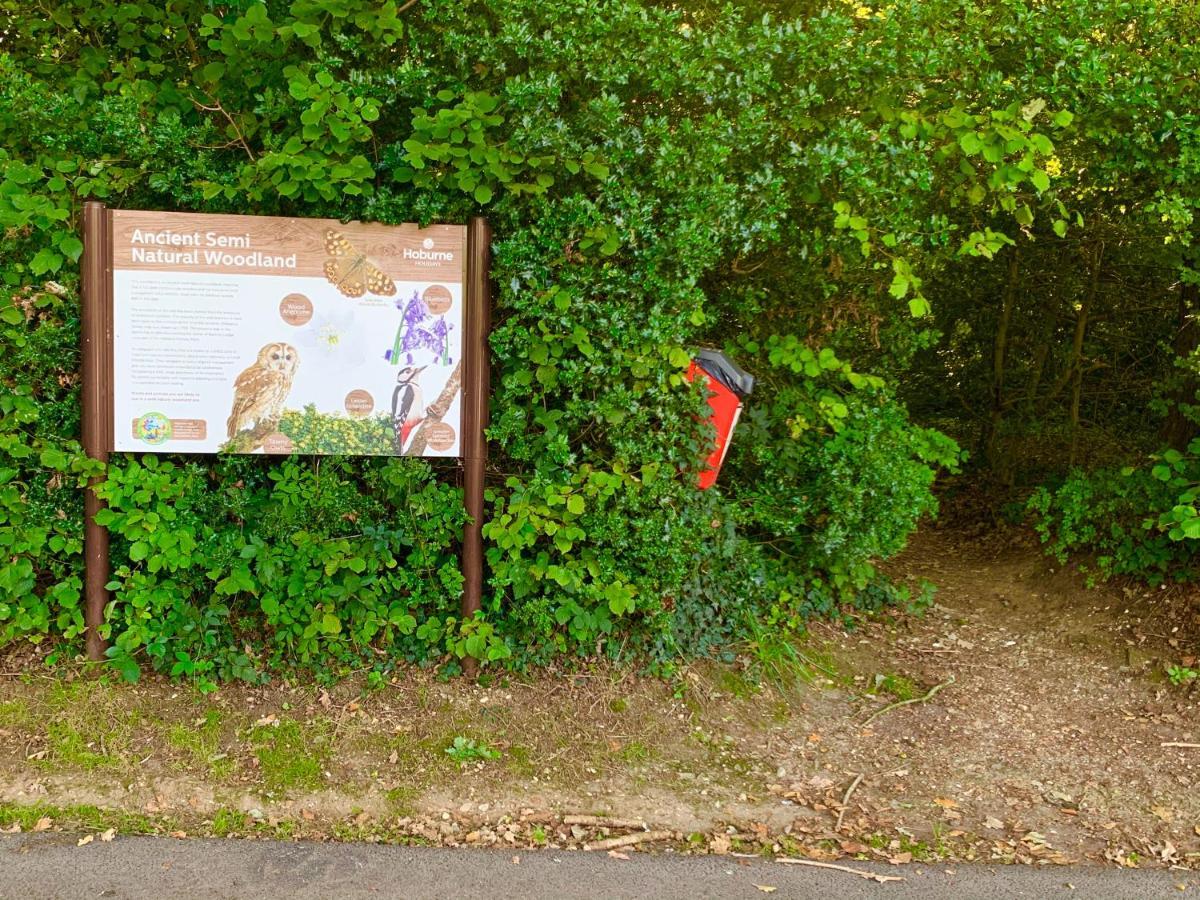 Forest Lodge Sway Екстер'єр фото