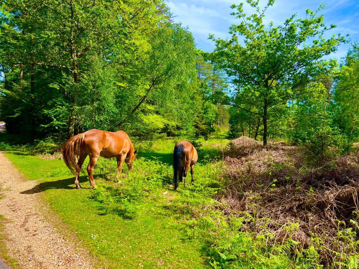 Forest Lodge Sway Екстер'єр фото